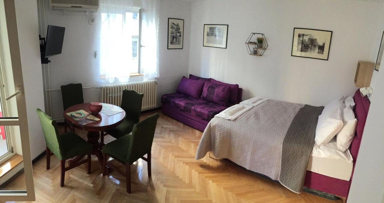 Apartment Andjela Dorcol ベオグラード エクステリア 写真