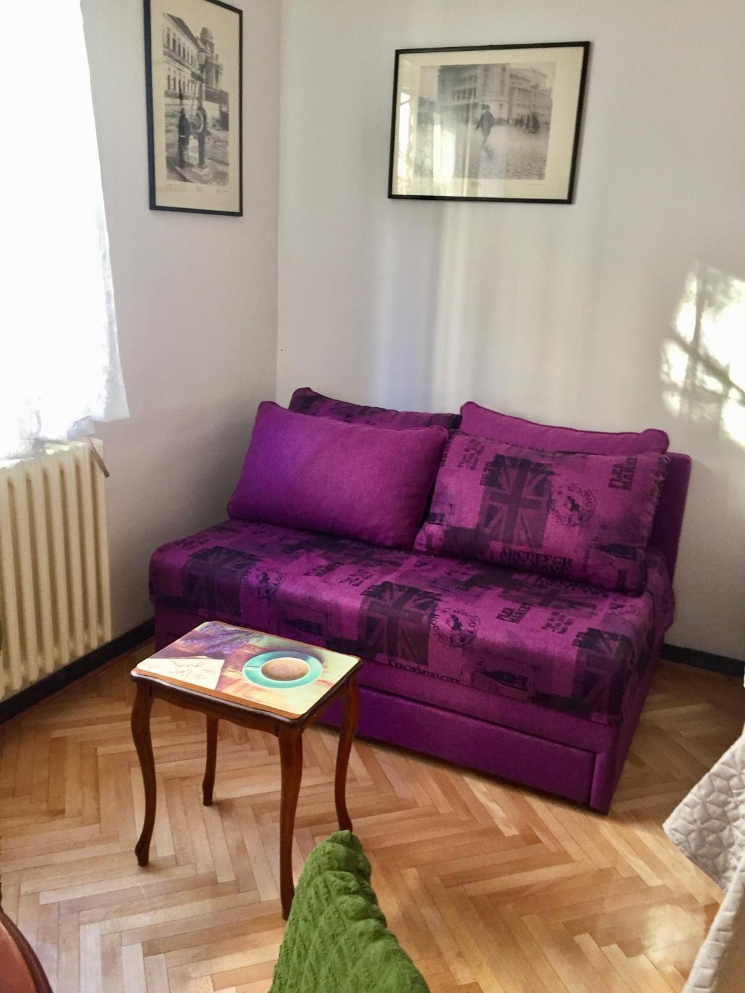 Apartment Andjela Dorcol ベオグラード エクステリア 写真